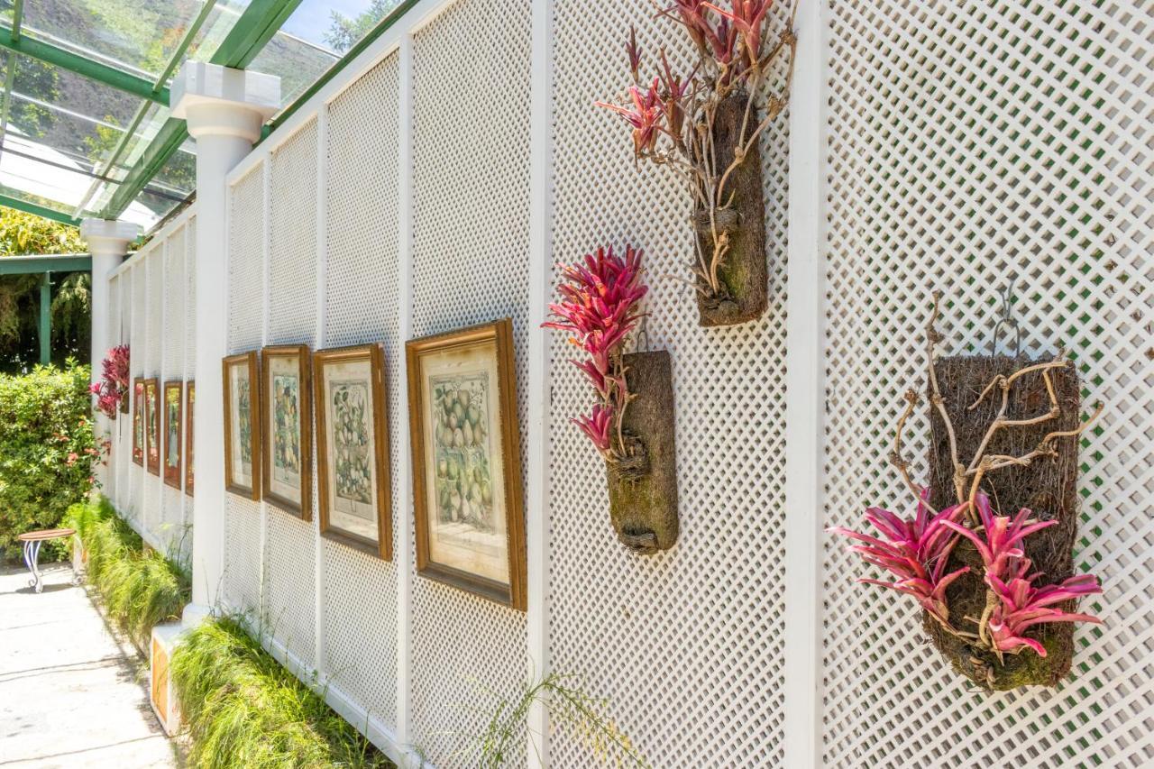 Locanda Della Mimosa Cascatinha エクステリア 写真